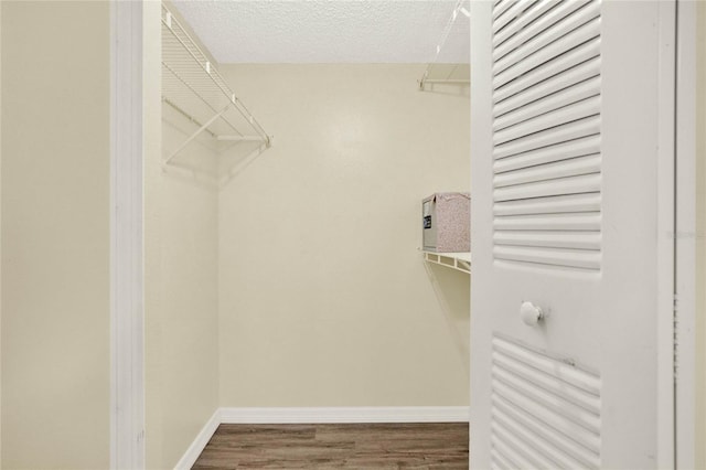 walk in closet featuring hardwood / wood-style flooring