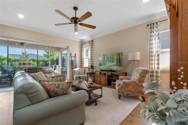 living room featuring crown molding, ceiling fan, and light hardwood / wood-style flooring