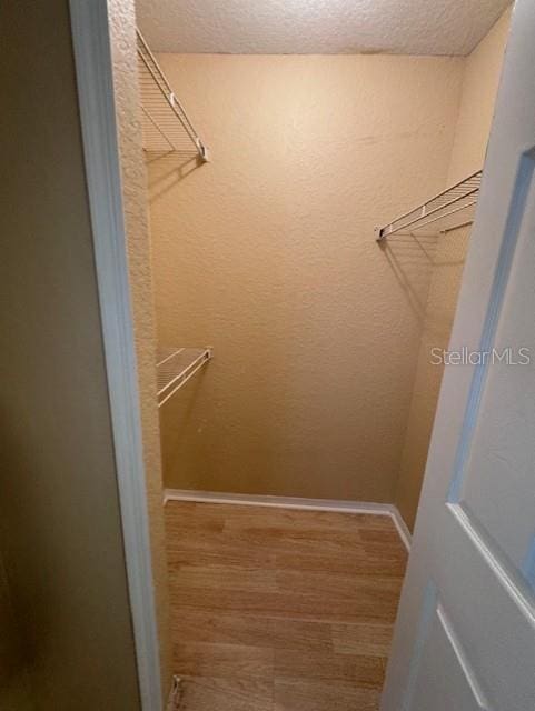 spacious closet featuring wood-type flooring