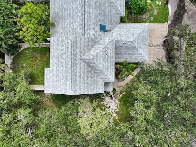 bird's eye view
