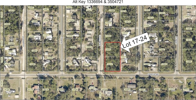 LOT17-24 Palmetto St, Paisley FL, 32767 land for sale