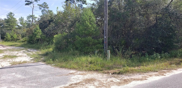 Listing photo 2 for LOT17-24 Palmetto St, Paisley FL 32767