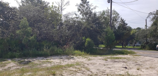 Listing photo 3 for LOT17-24 Palmetto St, Paisley FL 32767