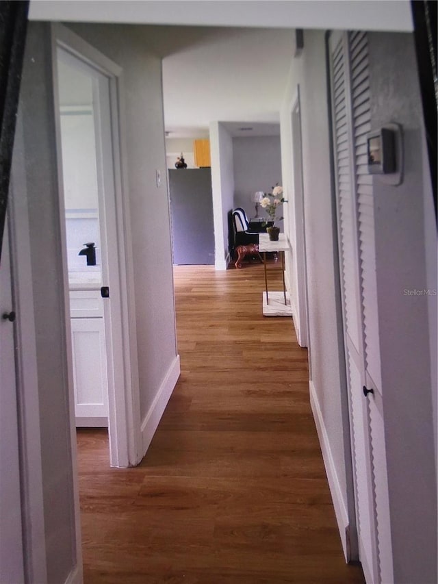 hallway featuring wood-type flooring