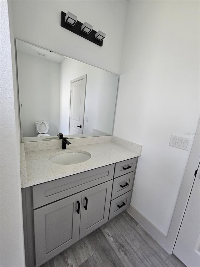 bathroom with vanity and wood-type flooring