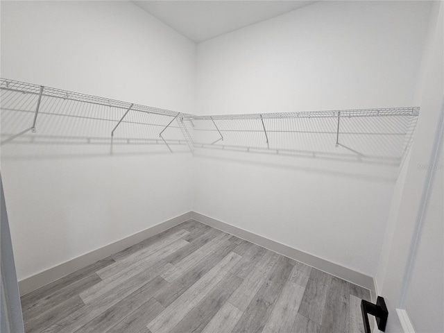 spacious closet featuring light hardwood / wood-style flooring