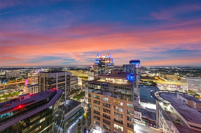 155 S Court Ave Unit 2710, Orlando, FL 32801 - view of city