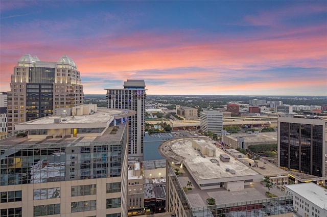 155 S Court Ave Unit 2710, Orlando, FL 32801 - view of city