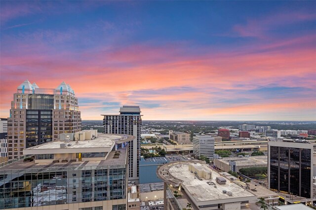 155 S Court Ave Unit 2710, Orlando, FL 32801 - city view