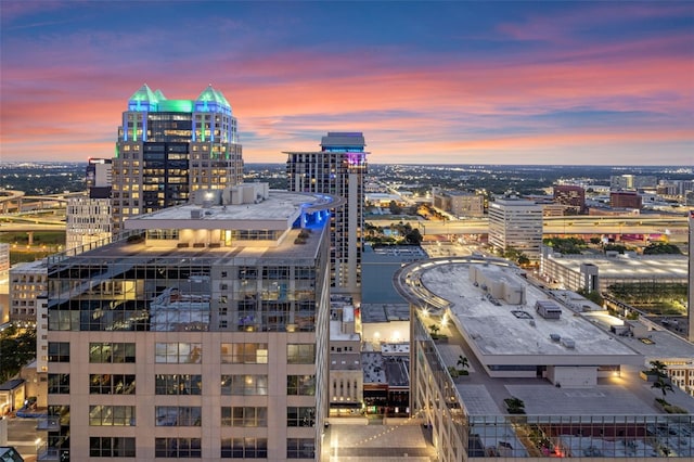 155 S Court Ave Unit 2710, Orlando, FL 32801 - view of city