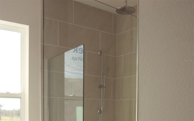 14569 Crestavista Dr, Clermont, FL 34714 - bathroom view of tiled shower