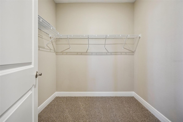 spacious closet with carpet flooring