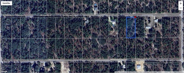 LOT6-00 SW Green Bay Dr, Dunnellon FL, 34431 land for sale