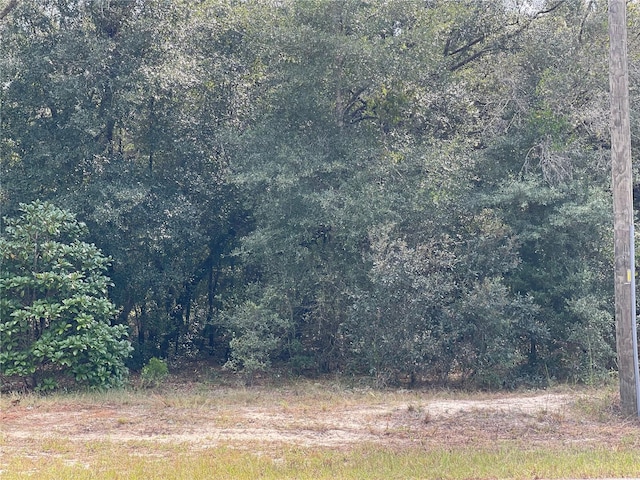 Listing photo 2 for LOT6-00 SW Green Bay Dr, Dunnellon FL 34431