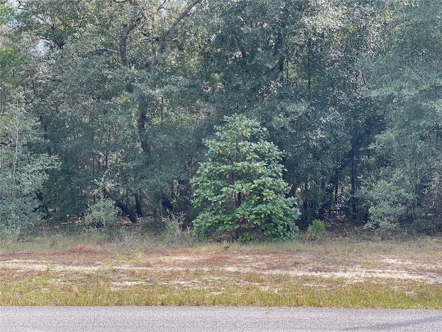 Listing photo 3 for LOT6-00 SW Green Bay Dr, Dunnellon FL 34431