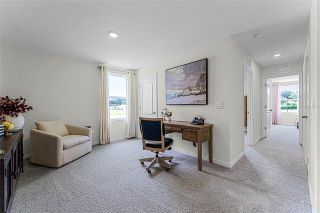 office space featuring light carpet and a textured ceiling