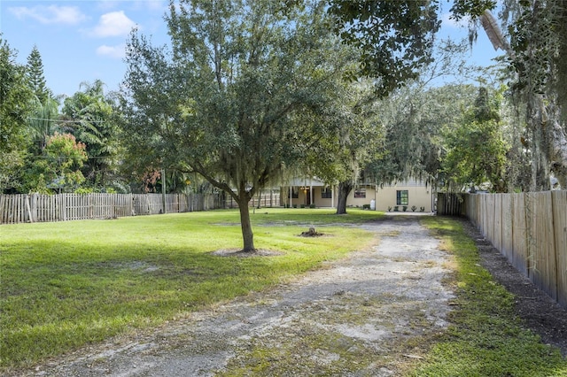 5625 Chipola Cir, Orlando, FL 32839 - view of yard with driveway