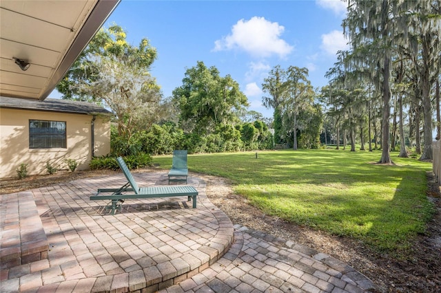 view of yard featuring a patio area