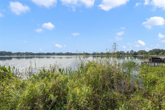 5625 Chipola Cir, Orlando, FL 32839 - water view