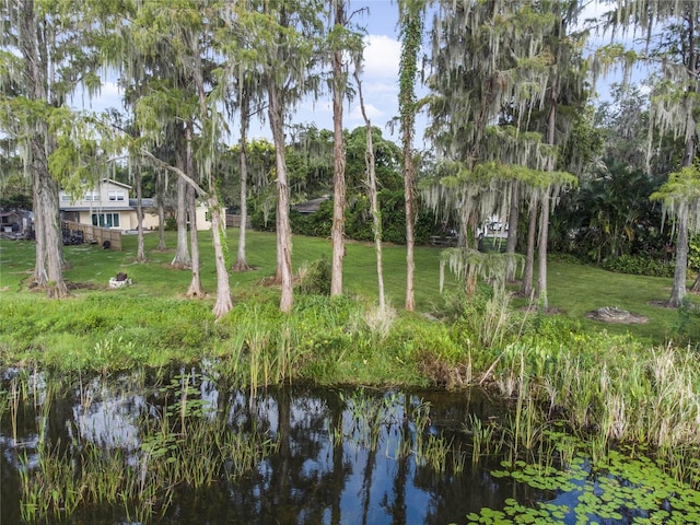 5625 Chipola Cir, Orlando, FL 32839 - water view