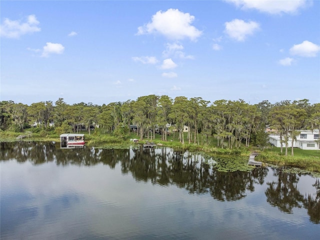 5625 Chipola Cir, Orlando, FL 32839 - water view with a heavily wooded area