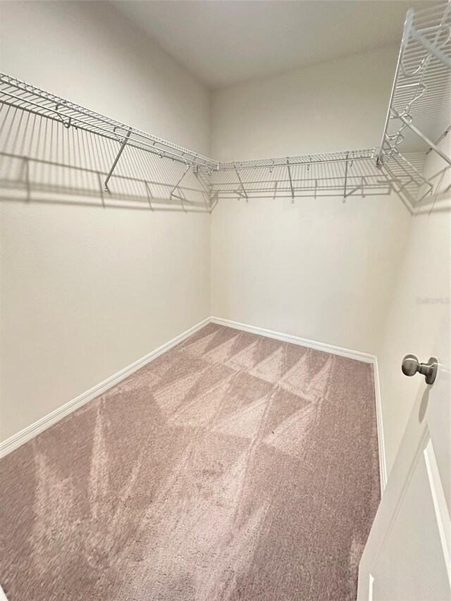 walk in closet with carpet