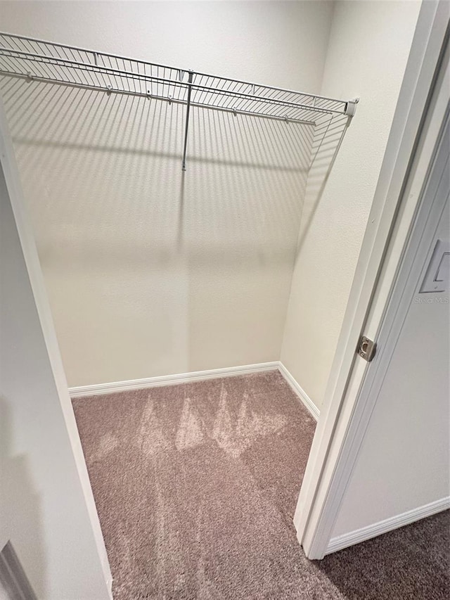 walk in closet featuring carpet flooring