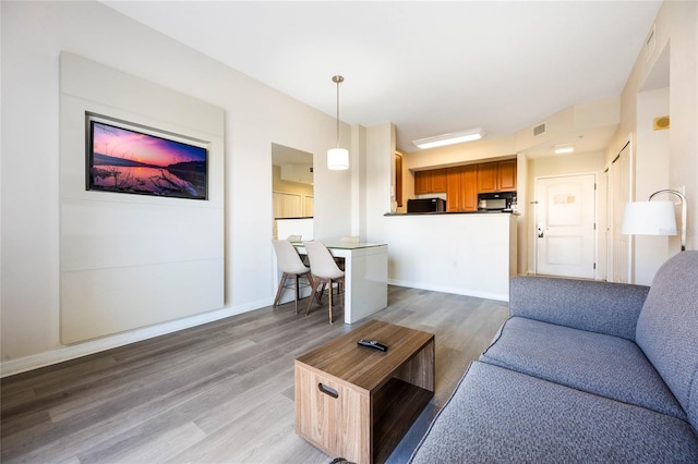 living room with hardwood / wood-style flooring