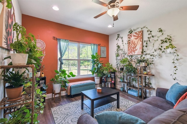 living room featuring ceiling fan and dark hardwood / wood-style floors