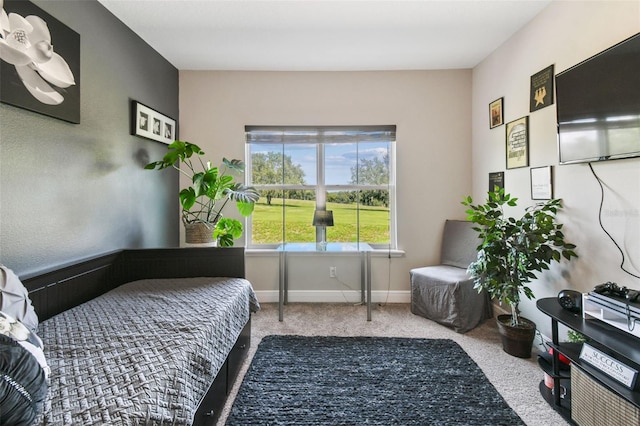 bedroom with carpet flooring