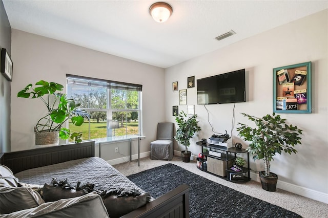 living room featuring carpet flooring