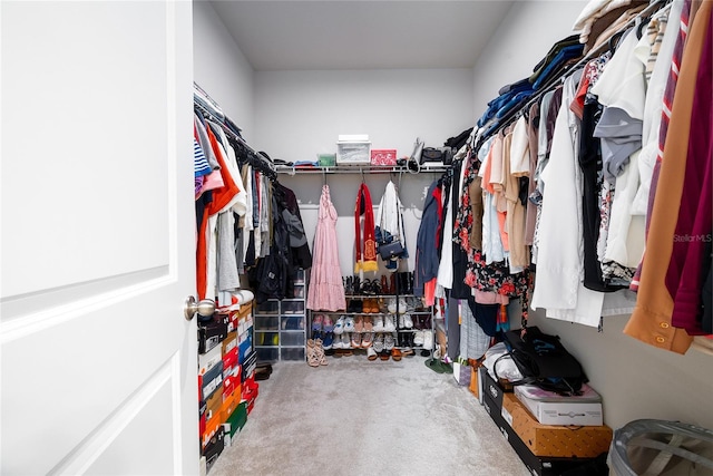 spacious closet with carpet floors