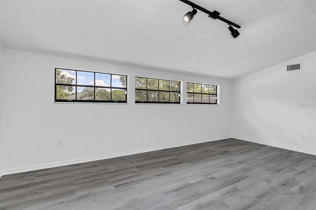 empty room featuring wood-type flooring, a textured ceiling, a wealth of natural light, and lofted ceiling