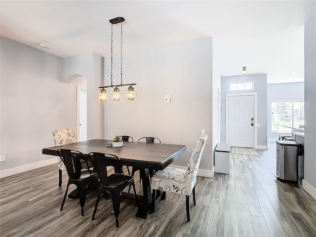 dining room with dark hardwood / wood-style floors