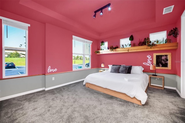 carpeted bedroom featuring a tray ceiling