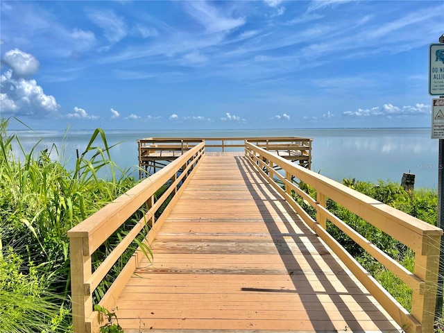 dock area with a water view