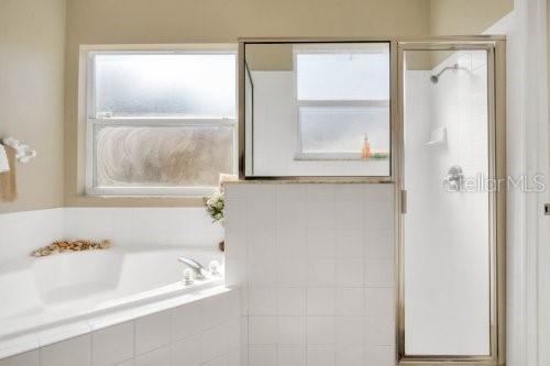 full bath featuring a stall shower, a garden tub, and plenty of natural light