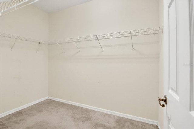 spacious closet with light carpet