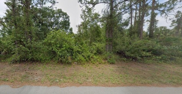 646 Naples Ave S, Lehigh Acres, FL 33974 - photo 1
