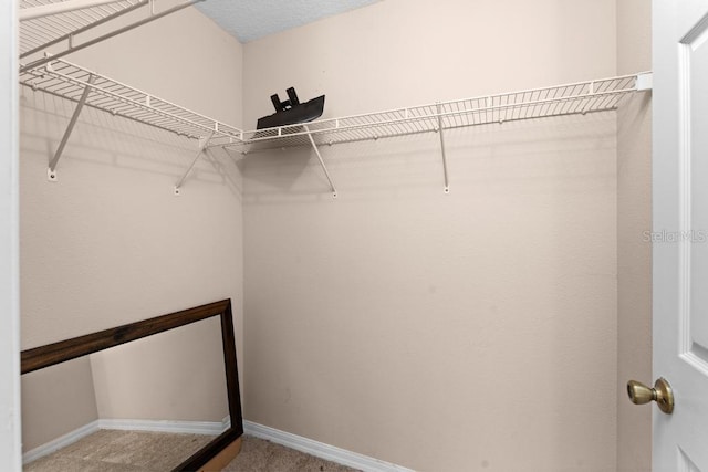 walk in closet featuring carpet