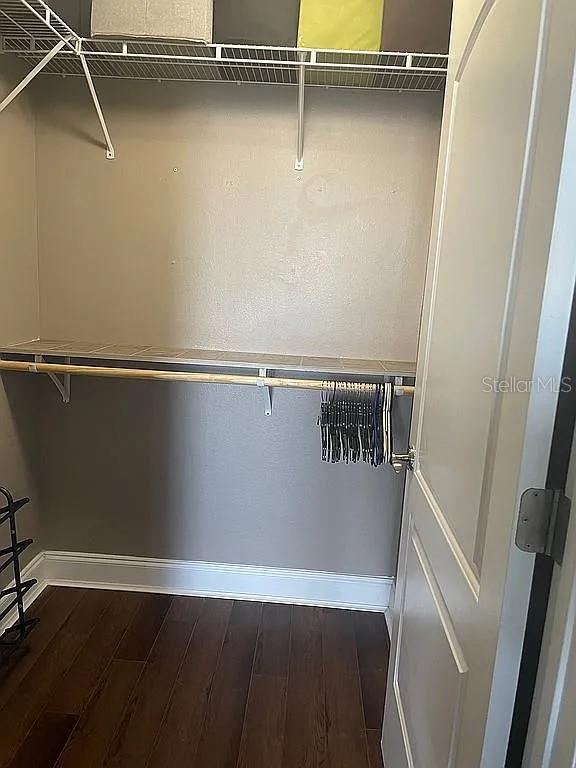 spacious closet featuring dark hardwood / wood-style floors