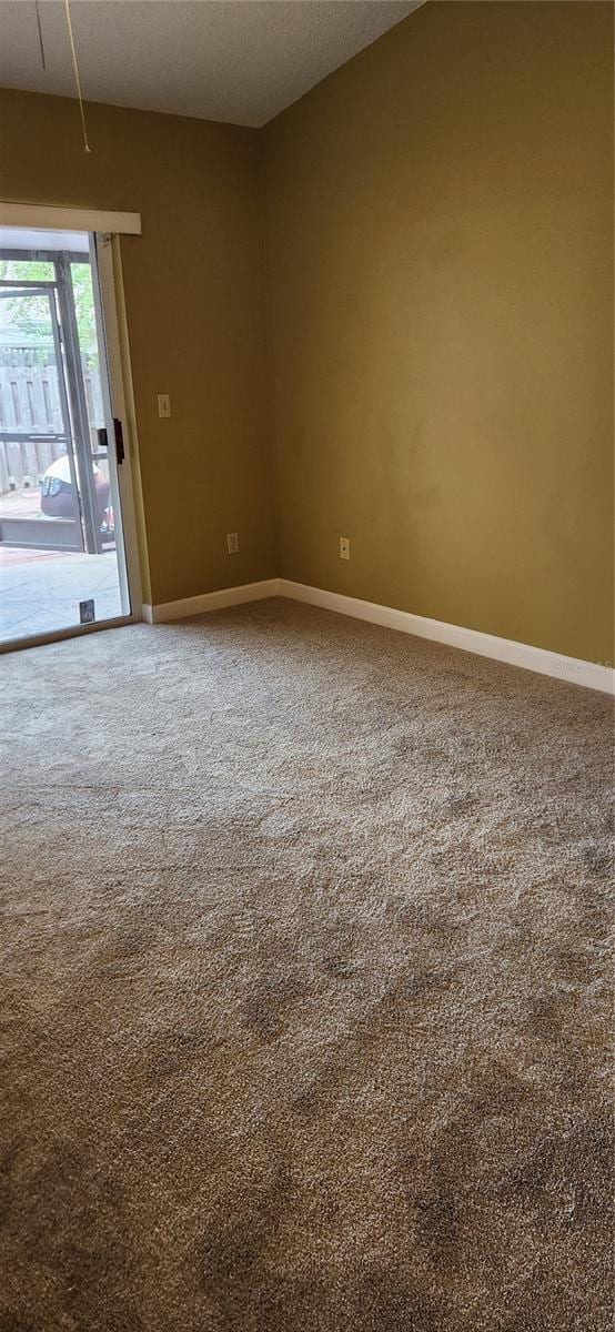 unfurnished room featuring carpet floors