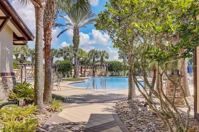 view of swimming pool featuring a patio