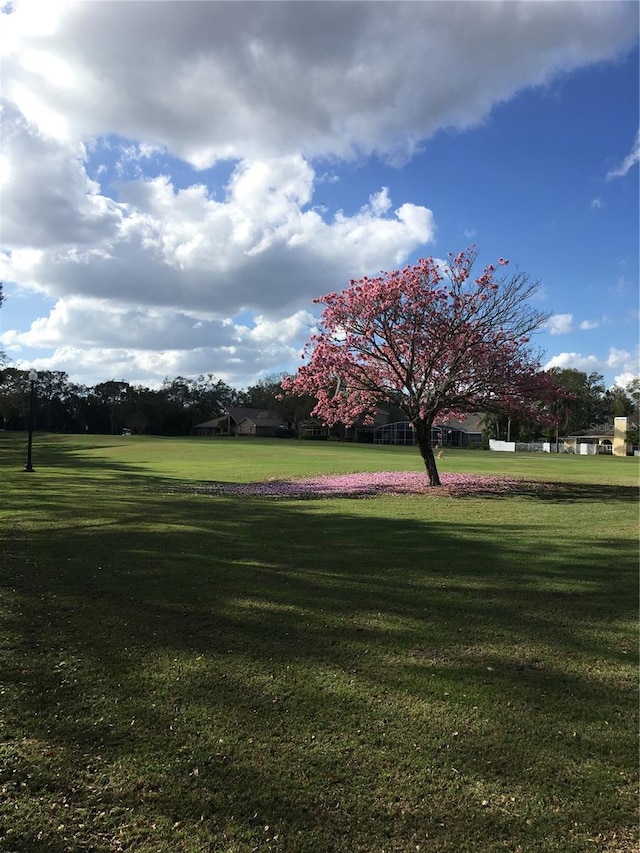 view of property's community featuring a lawn