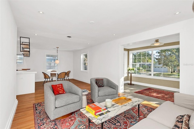 living room featuring a wealth of natural light and light hardwood / wood-style flooring