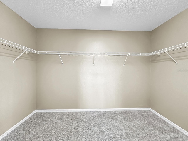 walk in closet featuring carpet