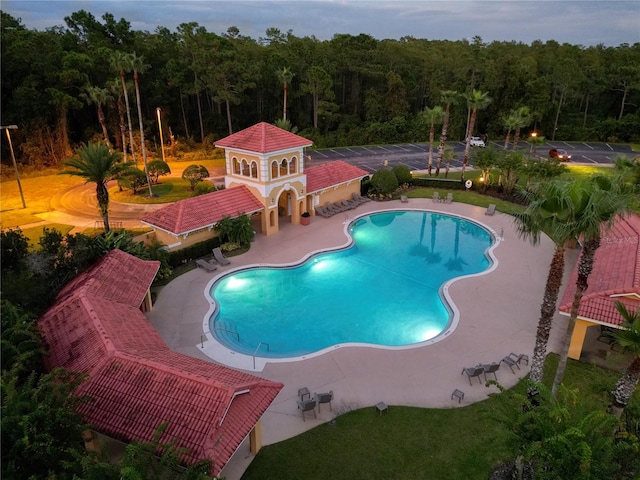 view of pool featuring a patio area