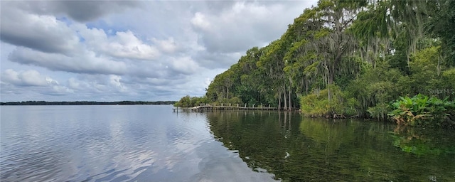 water view with a forest view