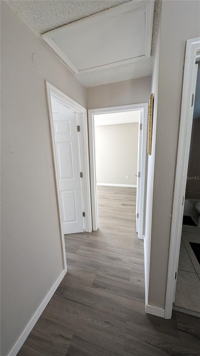 corridor with wood-type flooring