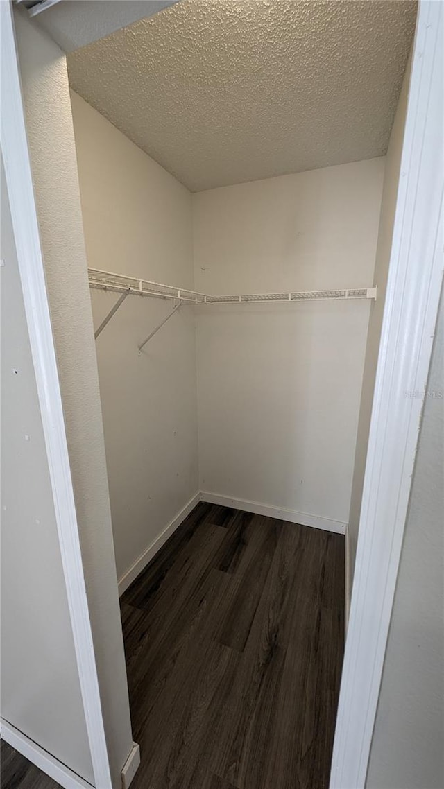 spacious closet featuring dark hardwood / wood-style flooring